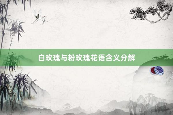 白玫瑰与粉玫瑰花语含义分解