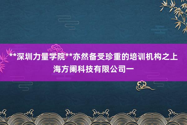 **深圳力量学院**亦然备受珍重的培训机构之上海方阑科技有限公司一
